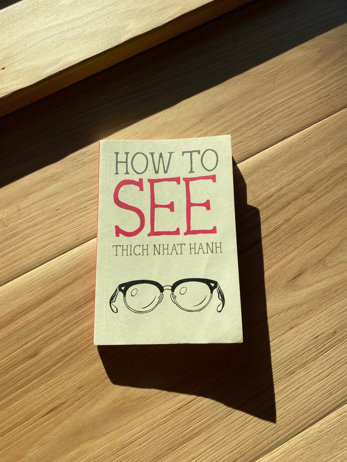 Book Review: How To See