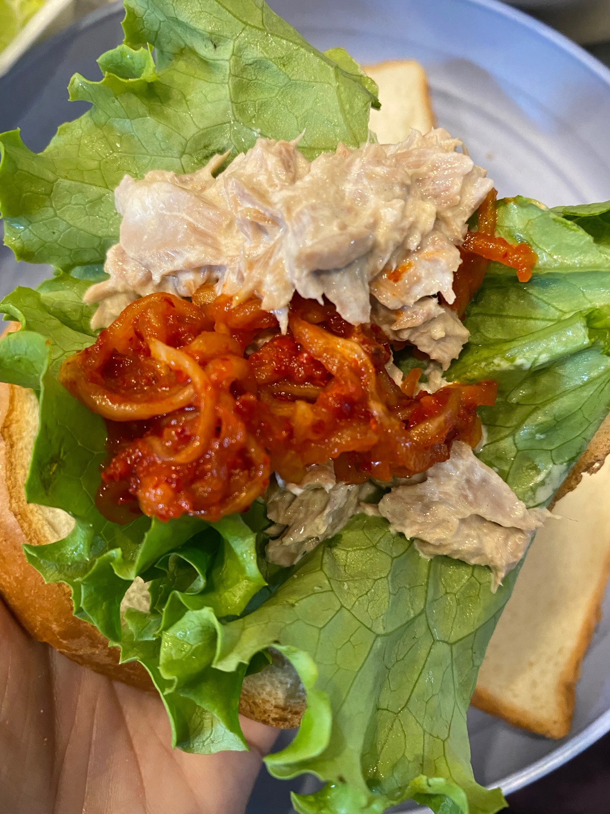 Lunch Time: Kimchi With Tuna Salad Sandwich