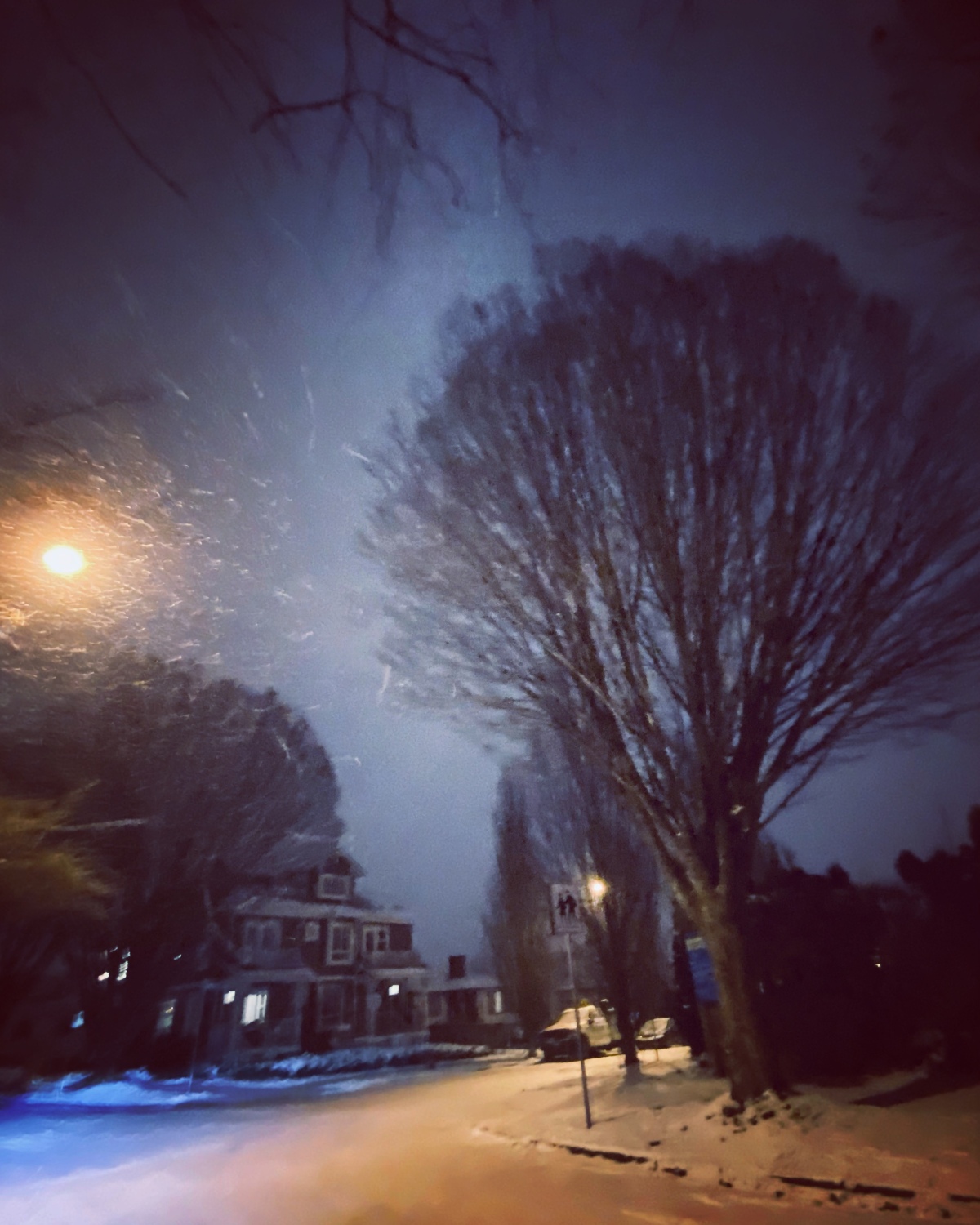 Photo Of The Day: Snowy Night
